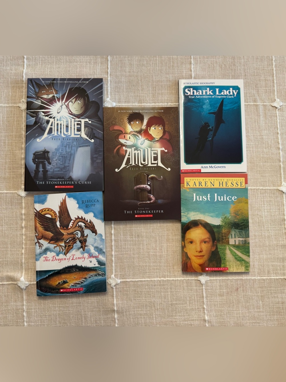 NEW!  Scholastic book bundle